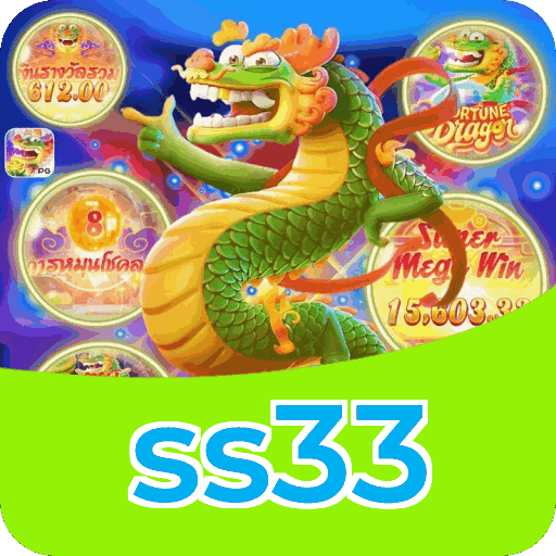 ss33